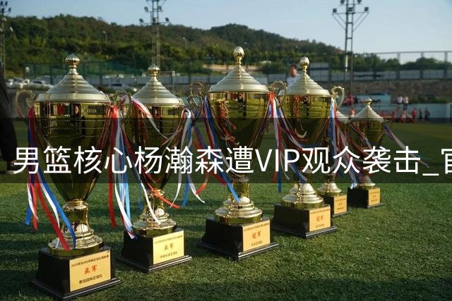 男篮核心杨瀚森遭VIP观众袭击 官方紧急处理确保赛事公正